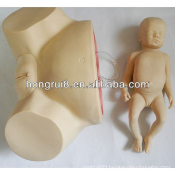 Newly Advanced Difficult Childbirth Simulator midwifery training model